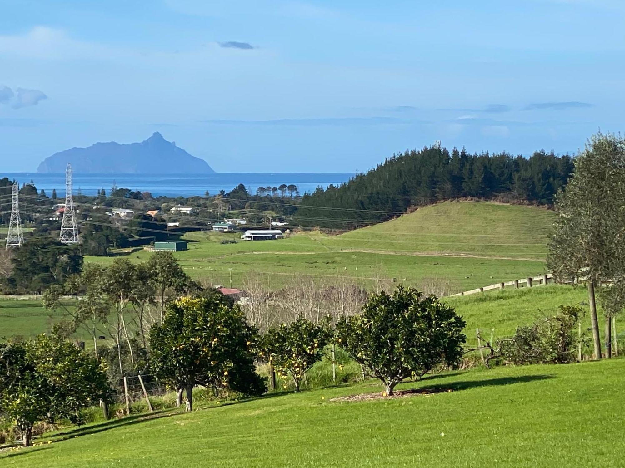 Moko Hiwi Escape Ruakaka - Tui Suite Esterno foto