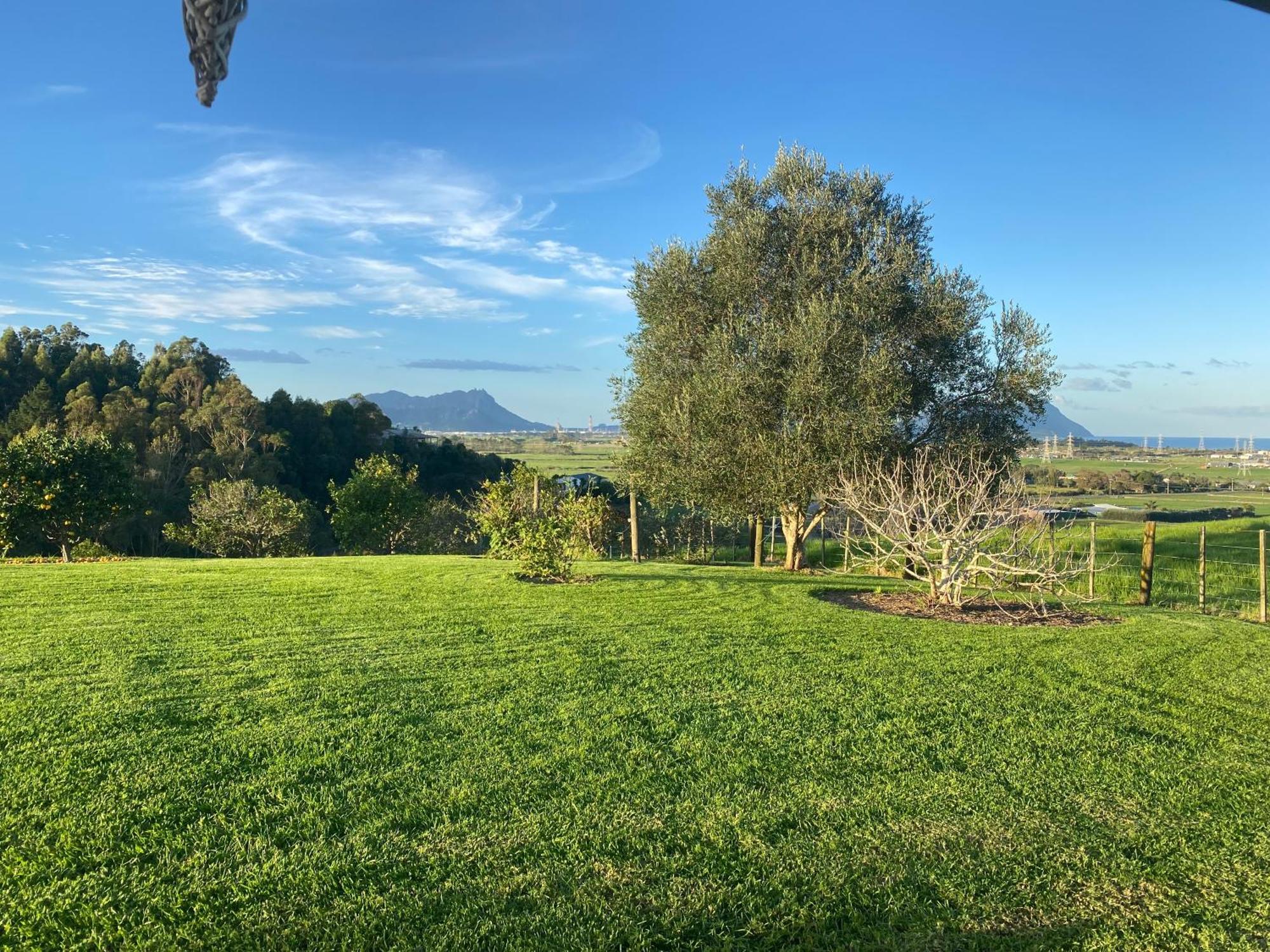 Moko Hiwi Escape Ruakaka - Tui Suite Esterno foto